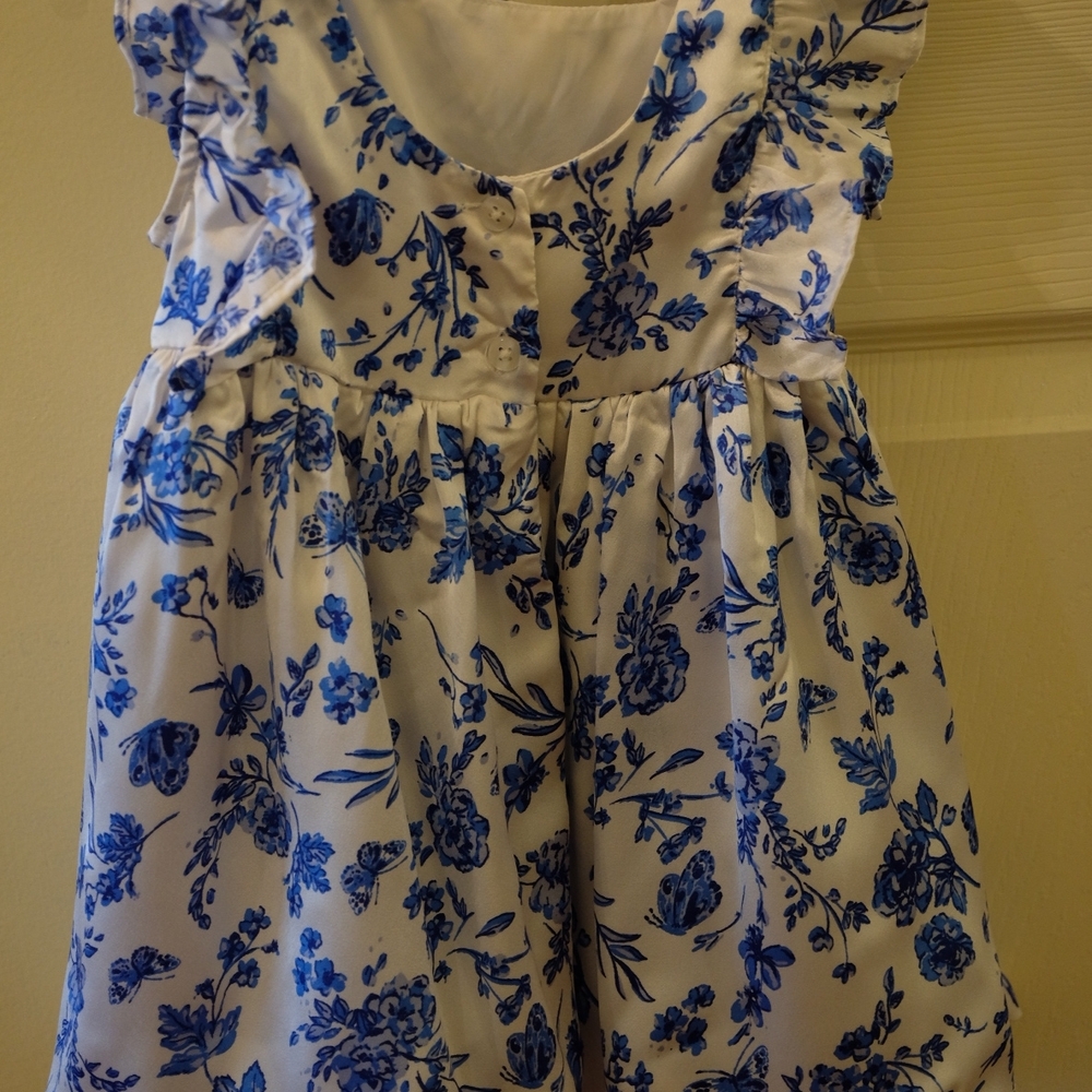 Floral Blue and White Dress